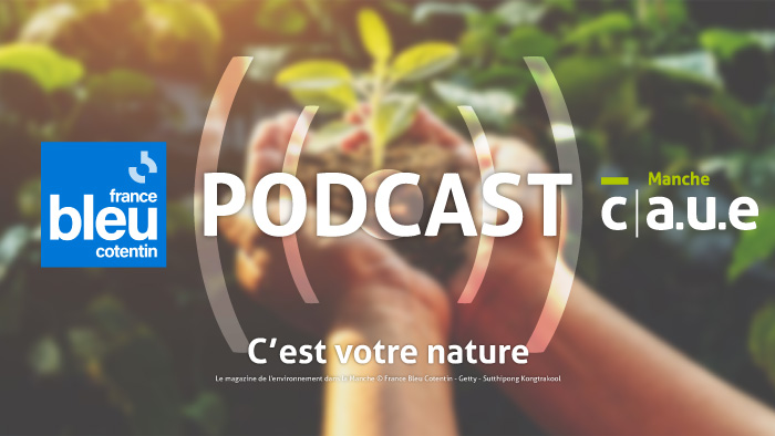 Écoutez le podcast